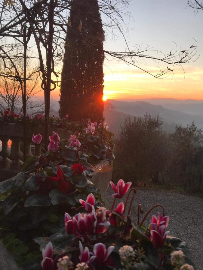 Villa La Piccioncina Firenze Ngoại thất bức ảnh